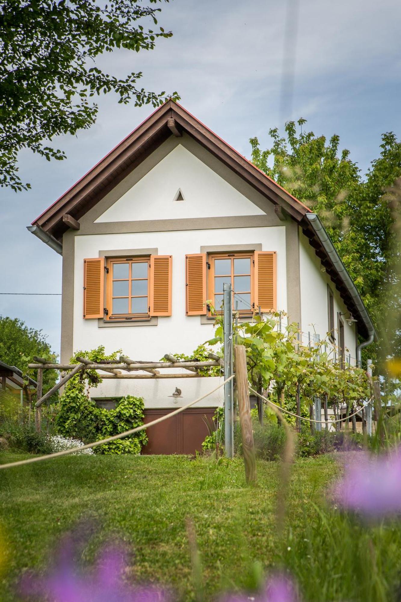 Вілла Weinlofts Weinloft I Edlitz im Burgenland Екстер'єр фото