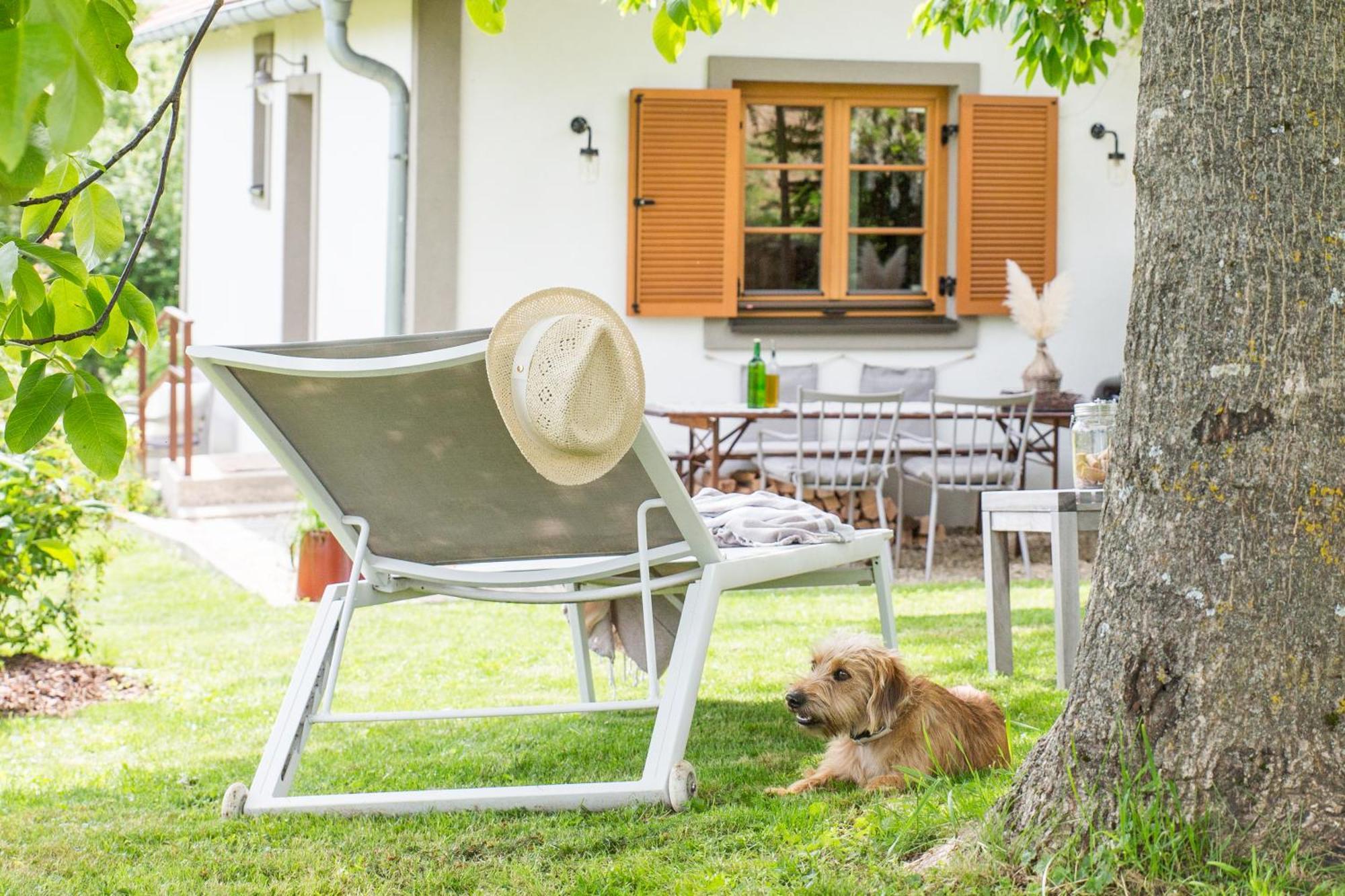 Вілла Weinlofts Weinloft I Edlitz im Burgenland Екстер'єр фото