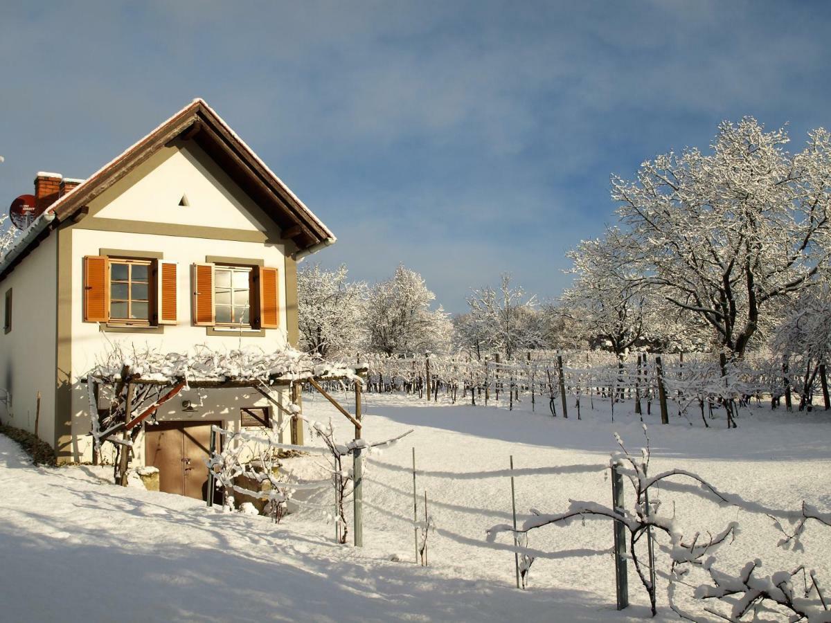 Вілла Weinlofts Weinloft I Edlitz im Burgenland Екстер'єр фото